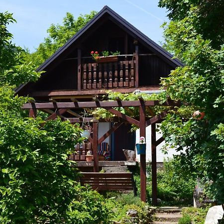 Na Okic - A Private Forest Oasis Sveti Martin pod Okicem Exterior photo