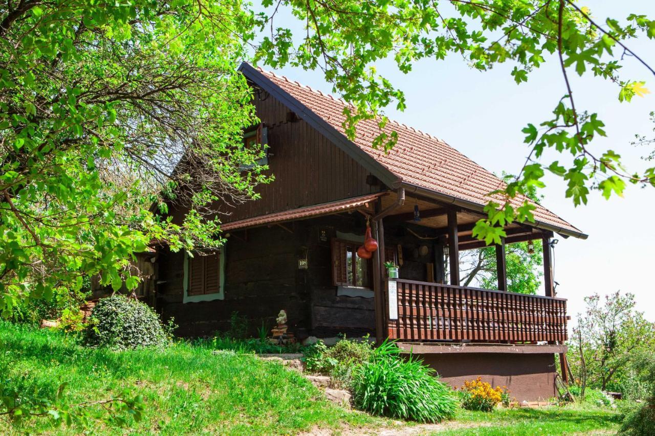 Na Okic - A Private Forest Oasis Sveti Martin pod Okicem Exterior photo