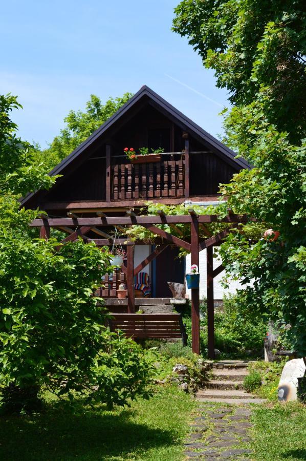 Na Okic - A Private Forest Oasis Sveti Martin pod Okicem Exterior photo