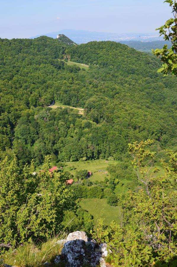Na Okic - A Private Forest Oasis Sveti Martin pod Okicem Exterior photo