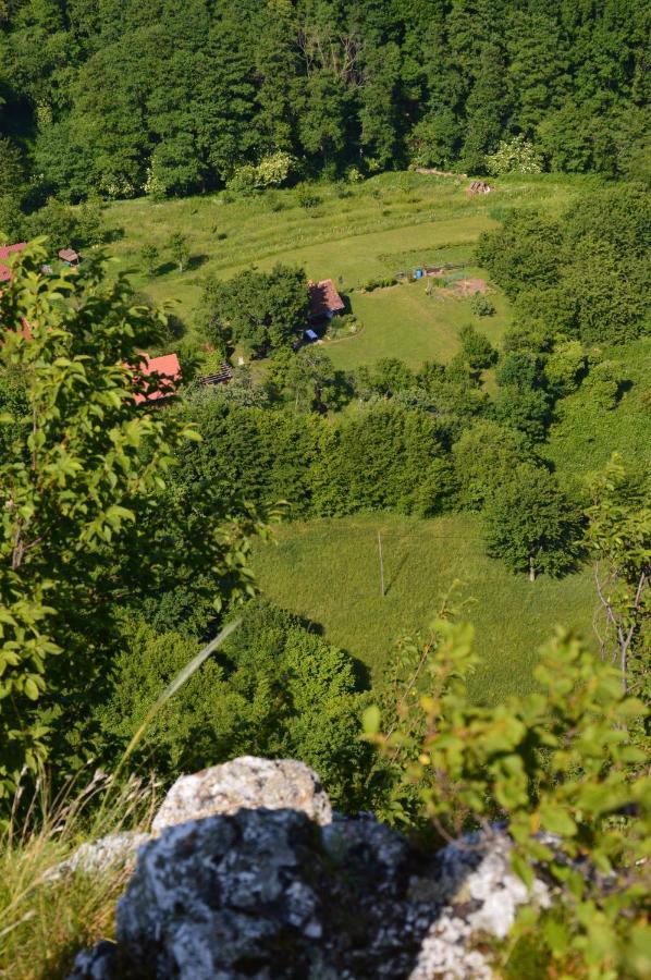 Na Okic - A Private Forest Oasis Villa Sveti Martin pod Okicem Exterior photo