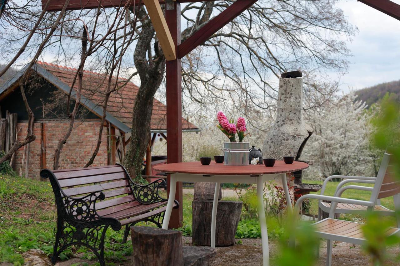 Na Okic - A Private Forest Oasis Sveti Martin pod Okicem Exterior photo