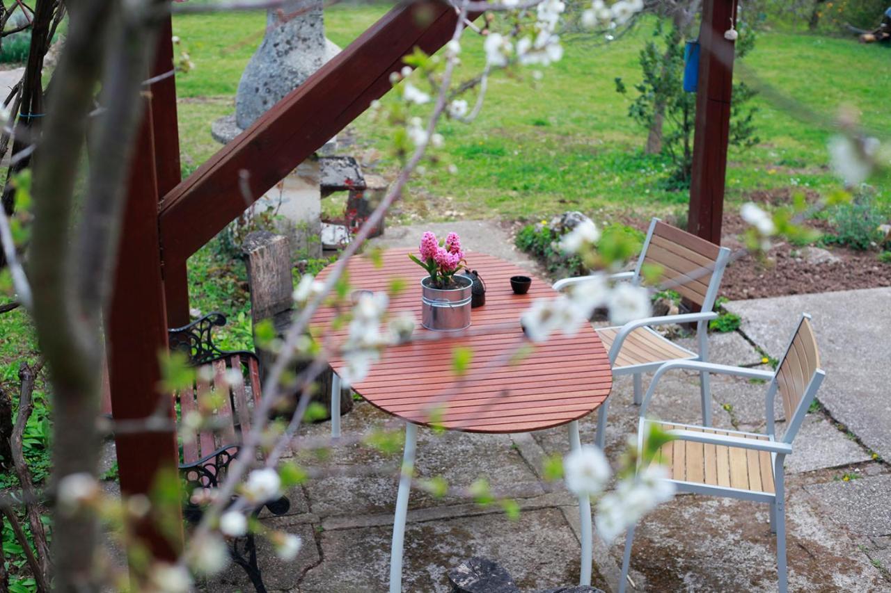 Na Okic - A Private Forest Oasis Sveti Martin pod Okicem Exterior photo
