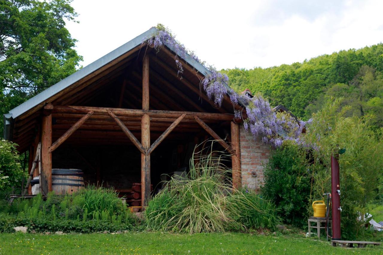 Na Okic - A Private Forest Oasis Sveti Martin pod Okicem Exterior photo